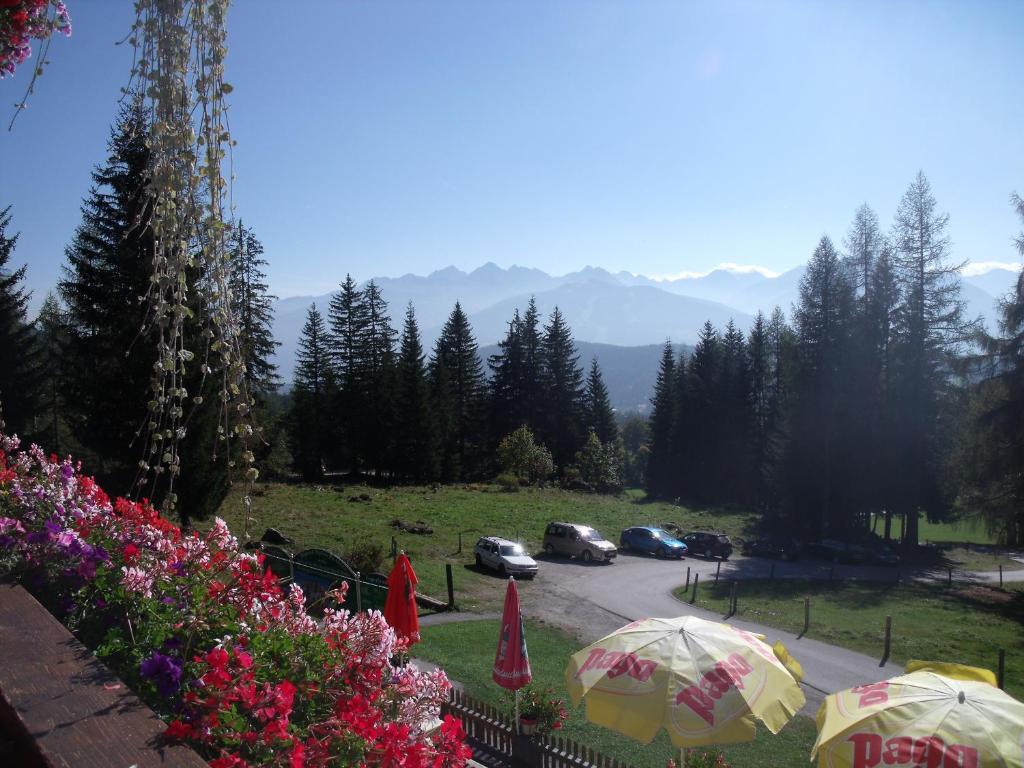 Gasthof Edelbrunn Hotel Ramsau am Dachstein Eksteriør billede