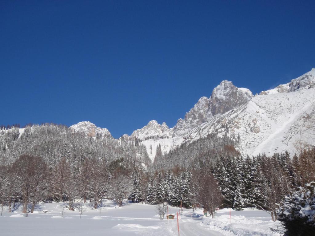 Gasthof Edelbrunn Hotel Ramsau am Dachstein Eksteriør billede