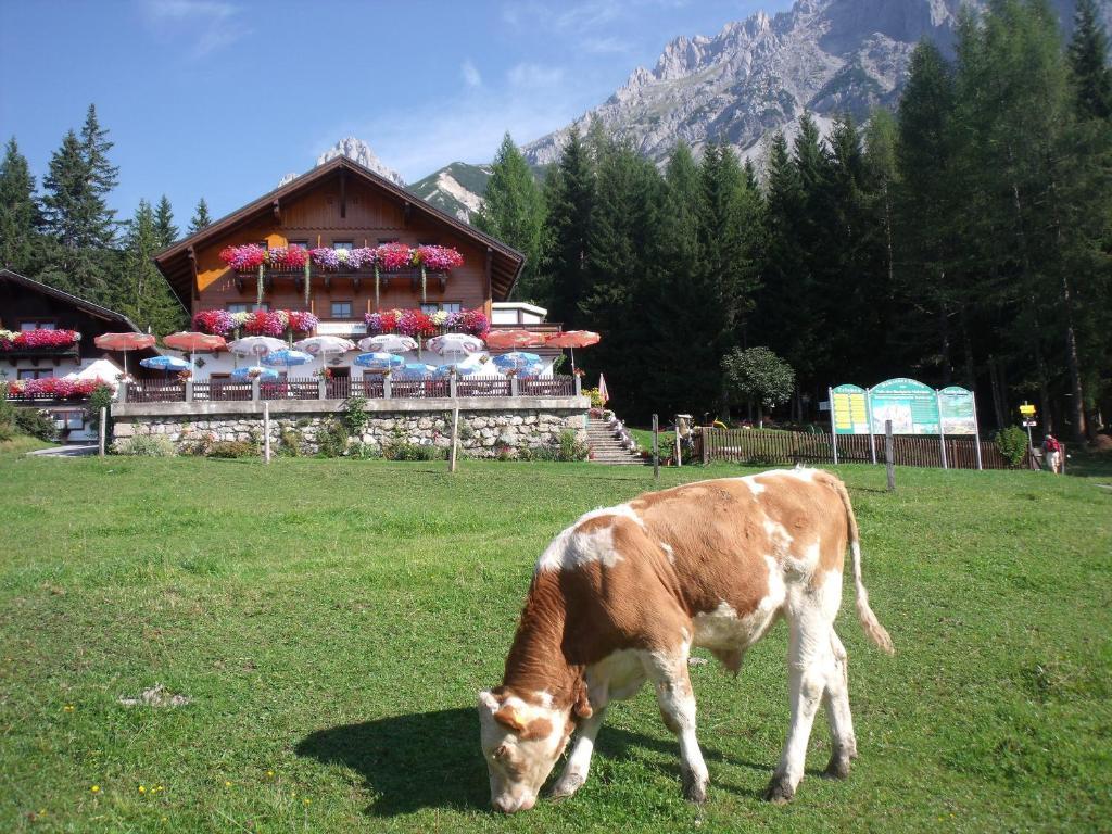 Gasthof Edelbrunn Hotel Ramsau am Dachstein Eksteriør billede