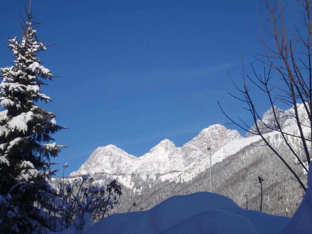 Gasthof Edelbrunn Hotel Ramsau am Dachstein Eksteriør billede